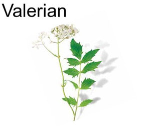 Valerian