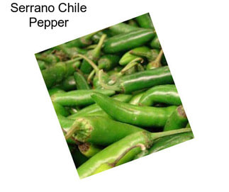 Serrano Chile Pepper