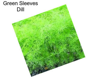 Green Sleeves Dill