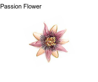 Passion Flower