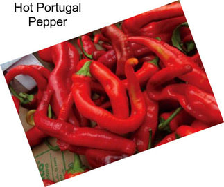 Hot Portugal Pepper