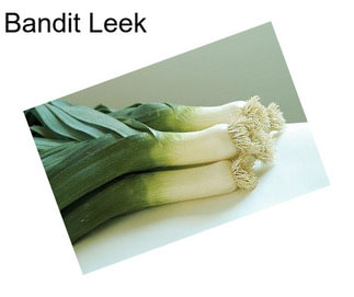 Bandit Leek