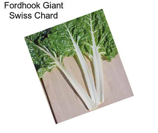 Fordhook Giant Swiss Chard