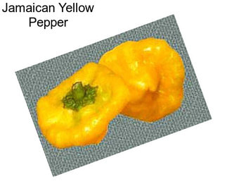 Jamaican Yellow Pepper