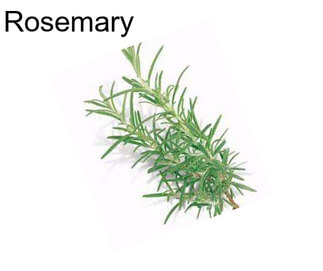 Rosemary