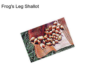 Frog\'s Leg Shallot