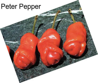 Peter Pepper