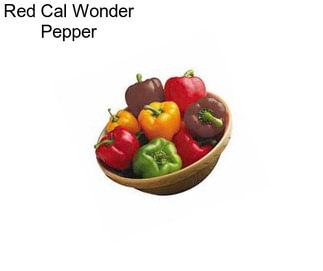 Red Cal Wonder Pepper