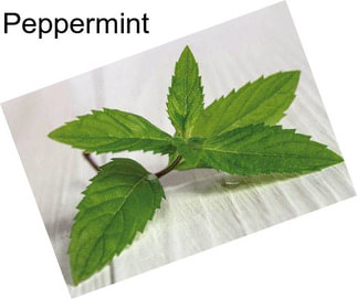 Peppermint