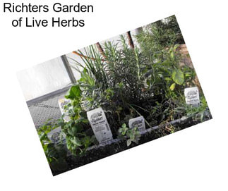 Richters Garden of Live Herbs