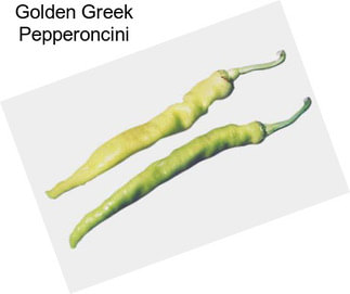 Golden Greek Pepperoncini