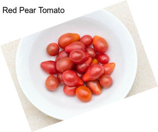 Red Pear Tomato