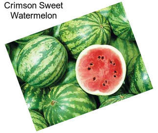 Crimson Sweet Watermelon