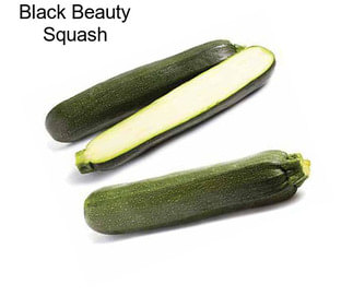 Black Beauty Squash