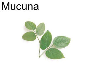 Mucuna