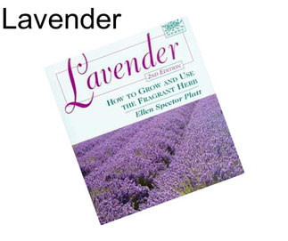 Lavender