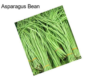 Asparagus Bean