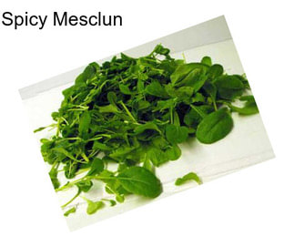 Spicy Mesclun