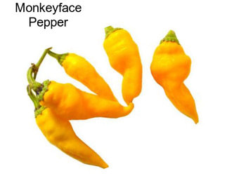 Monkeyface Pepper