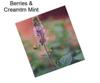 Berries & Creamtm Mint