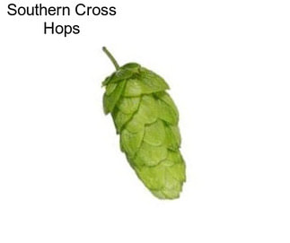 Southern Cross Hops