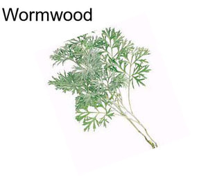 Wormwood