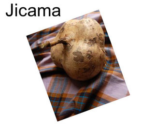 Jicama