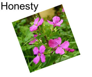 Honesty