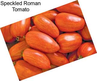 Speckled Roman Tomato