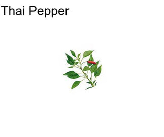 Thai Pepper