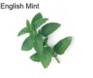 English Mint