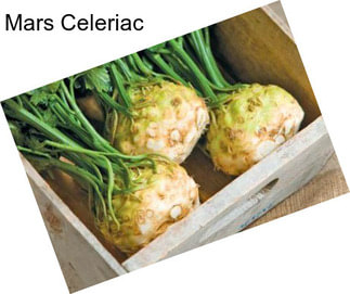 Mars Celeriac