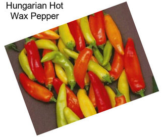 Hungarian Hot Wax Pepper