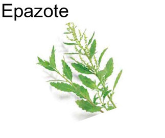 Epazote