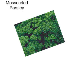 Mosscurled Parsley