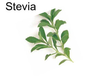 Stevia