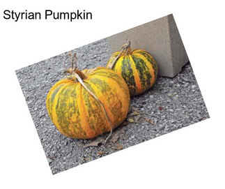 Styrian Pumpkin