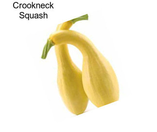 Crookneck Squash