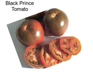 Black Prince Tomato