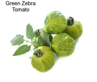 Green Zebra Tomato