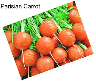 Parisian Carrot