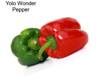 Yolo Wonder Pepper