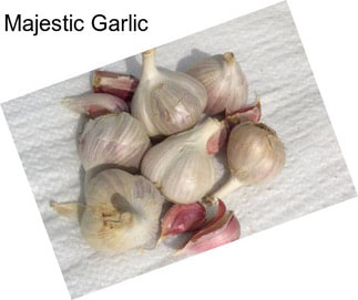 Majestic Garlic