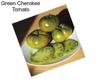 Green Cherokee Tomato