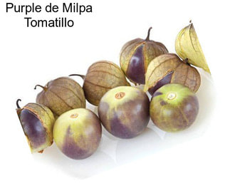 Purple de Milpa Tomatillo