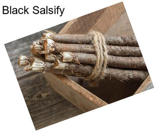 Black Salsify