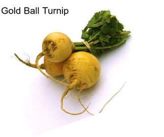 Gold Ball Turnip