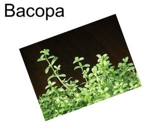 Bacopa