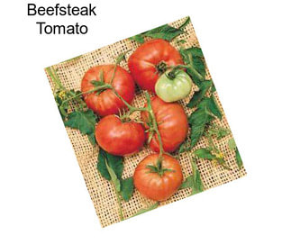 Beefsteak Tomato