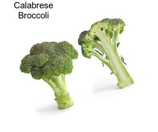 Calabrese Broccoli